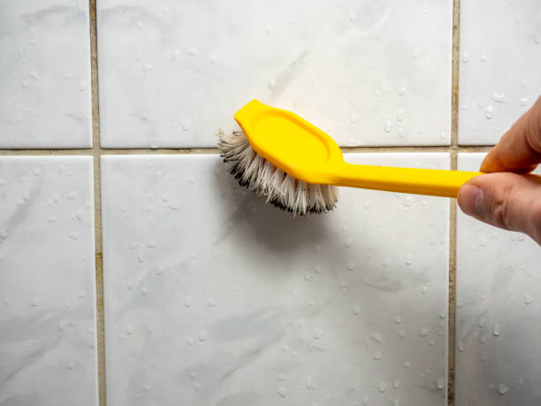 Mold Removal Process in Ashley, OH
