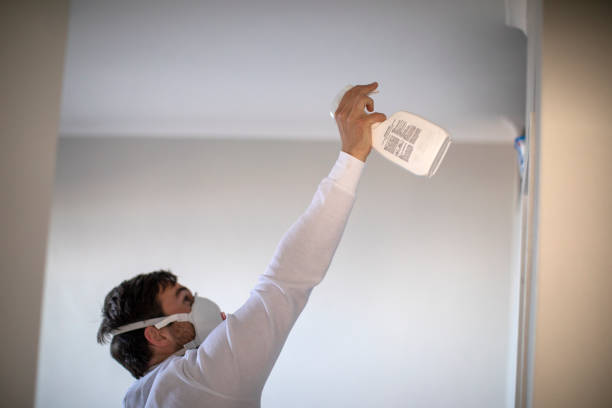 Best Crawl Space Mold Removal  in Ashley, OH