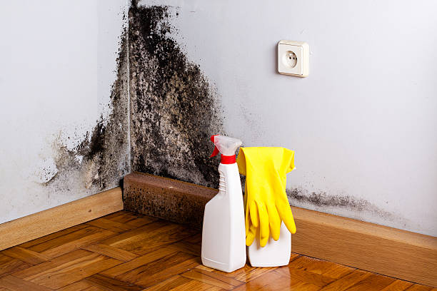 Water Damage Restoration in Ashley, OH